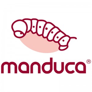 manduca